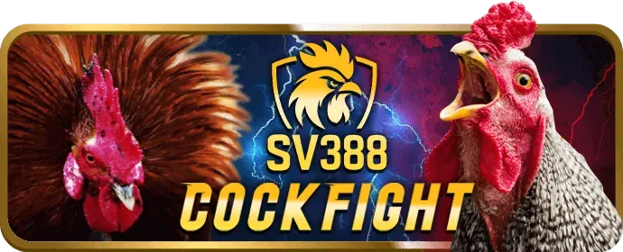 Lợi ích khi tải ứng dụng huvip win