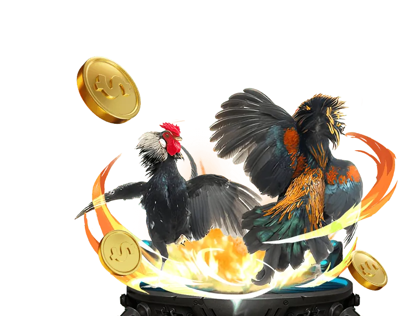 Tin tức Casino trực tuyến